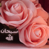   haedy