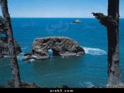   hanan_3300
