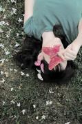   loveflower