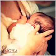   mo7A